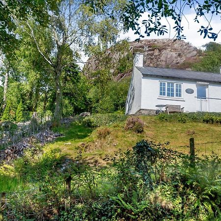 Penlan Villa Beddgelert Exterior photo